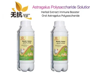 Astragalus
