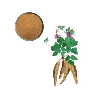 Wholesale Pueraria Root Extract Suppliers China