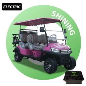CE Certified Golf Cart