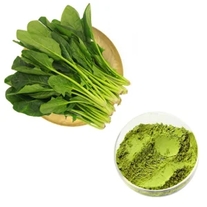 Extracto Herbal Polvo de Espinaca
