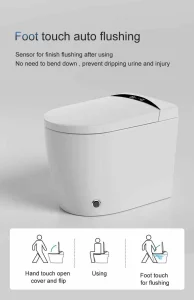 SAA Approved Smart Toilet