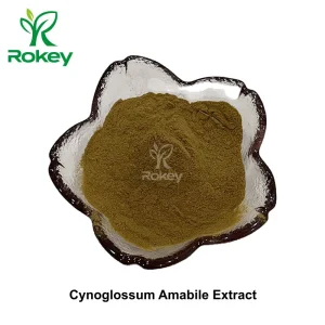 Premium Natural Botanical Extract for Wellness Support Cynoglossum Amabile Extract Powder