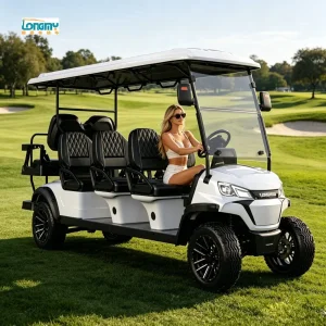 Lithium 6 Plus 2 Seater Electric Golf Cart