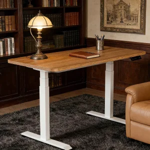 Electric Lifting Standing Desk