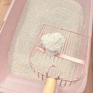 Arena para gatos absorção de água