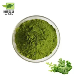 Polvo de Kale Orgánico Natural Puro Verde en Polvo de Verduras