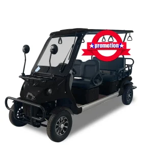 Electric Cargo Golf Cart 5-6 Seater