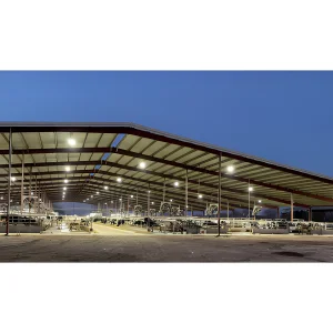 Multi-Functional Durable Steel Structure Farm - All-Purpose Agricultural Building for Livestock &amp; Poultry Breeding