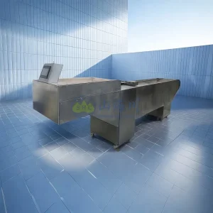 Automated Transport System