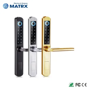Stainless Steel 304 Fingerprint Password Keyless Entry Smart Lock Tuya APP
