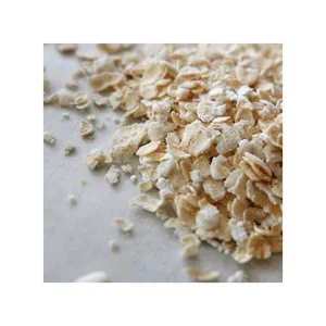 Hot Selling 25Kg/Bag 20% Protein Cooked Oatmeal High Protein Agricultural Oats Product
