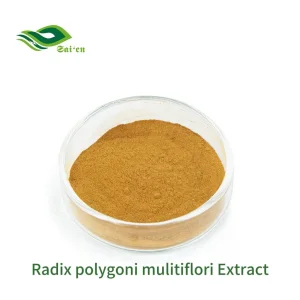 Radix Polygoni Multiflori Extract