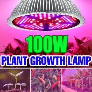 Grow Bulb