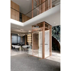 Gearless Traction System Modern Design Easy Installation 400kg Load Villa Home Elevator Stair Lift with Remote Control