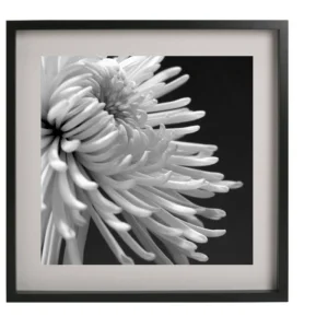 Gallery Wall Kit