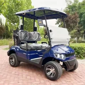 Electric Golf Cart 2-seater High Quality CE Certified