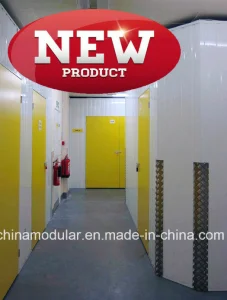 Hinged Door for Mini Storage &amp; Warehouse (CHAM-HD001)