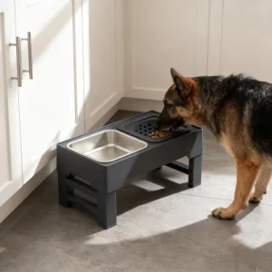 2-in-1 Elevated Slow Feeder