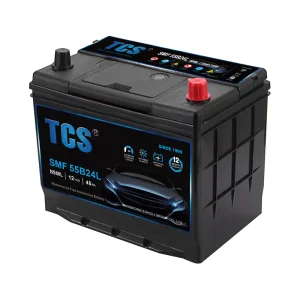 Tcs Calcium-Calcium Technology 55b24L (NS60L) CCA420 45ah Smart Car Battery Rechargeable Battery for Car Valve-Regulated Lead Acid Batteries