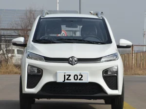 China Wholesale Customized Color High Speed Electric Vehicle JZ 02