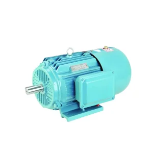 VFD Motor