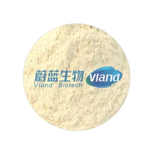 Aminopeptidase Enzyme