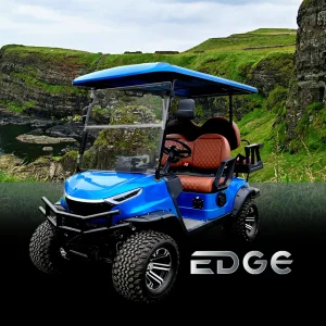 2 4 6 Seater Electric Golf Carts Cheap Prices Buggy Tire Car for Sale Chinese Club Prezzi Four Enclosed Power Golf Cart