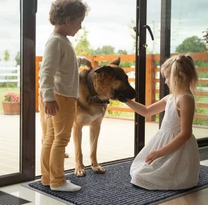 Entrance Doormat