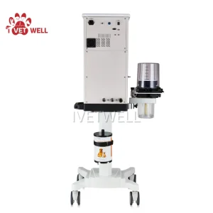 Veterinary Anesthesia Delivery System for Enhanced Patient Safety