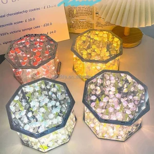 Octagon Rose Mirror Light