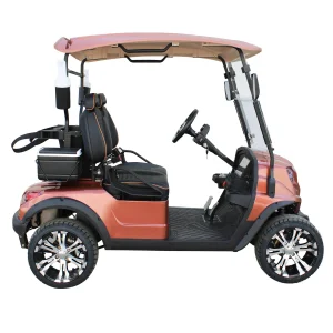 Chinese Electric Golf Cart 2 Seats Lithium Battery