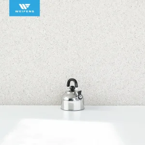 2.0L Stainless Steel Whistling Kettle with Heat Proof Ergonomic Handle, Cookware