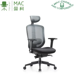 Ergonomic Chair