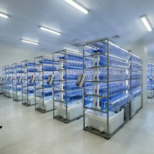 Zebrafish Housing Breeding and Water Filtration System