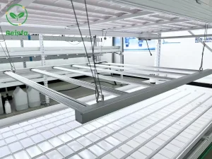 650W Full Spectrum LED Grow Light for Medicinal Plants Cultivation