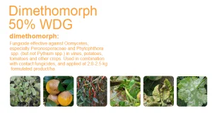 Good Quality Fungicide Dimethomorph (95%TC, 50%WP, 80%WDG, 10%EW, 20%SC, 500SC)
