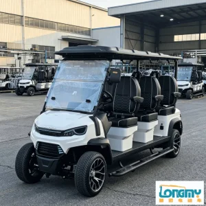 Eco-Friendly 48V AC Electric Golf Cart