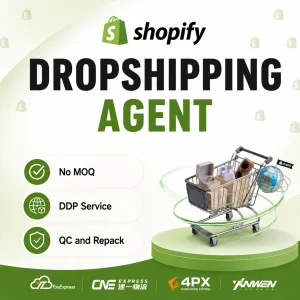 The Best 2026 Private Dropshipping Agent E-commerce Winning Dropshipping Sourcing Agent with No MOQ, Blind Dropshipping