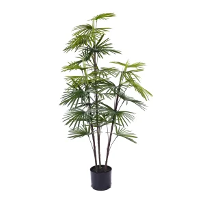 China Hot Selling Indoor and Outdoor Bonsai Tree