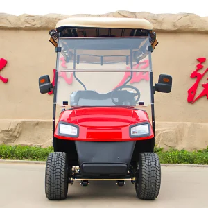 Chinese Custom Electric Golf Carts Cheap Prices Buggy Car for Sale Under 500 Street Legal Lifted Single Seat Walking Golf Cart