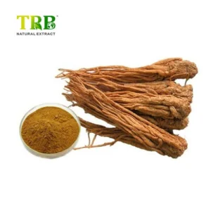 China Angelica Extract Manufacturers