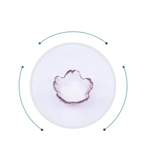Sodium Bicarbonate 99% Leavening Agent
