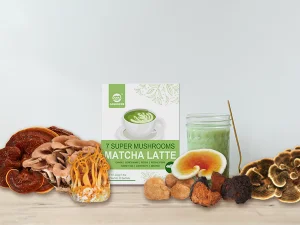 Mushroom Latte