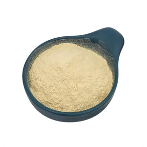 High Quality Yeast Protein Food Grade Concentrate 80% Neutral Taste Nutrition Enhancers For Bakery And Snack 25kg/bags