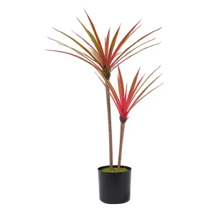 Artificial Dracaena Plant