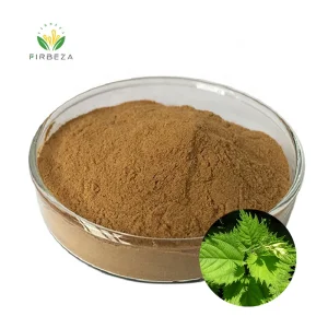 Bulk Wholesale Pure Organic Plant Extract 10:1 Stinging Nettle Root Extract Powder