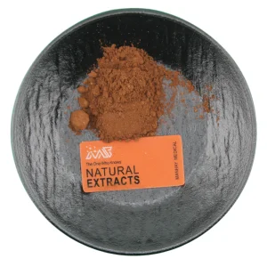 Manhay Natural Food Grade Plantago Ovata Plant Seed Herb Extract Powder Plantago Seed Extract