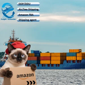 Sea Shipping LCL France