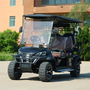 New Energy Vehicles Electric Car