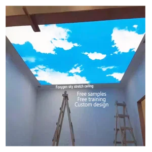 15 Year Quality Guarantee Pre-stretched Double Layer Panels Architect Blue Sky Ceilings Pvc Membrane Foil Stretch Ceilings